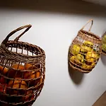 Farm stay Beecaramulo-apiturismo
