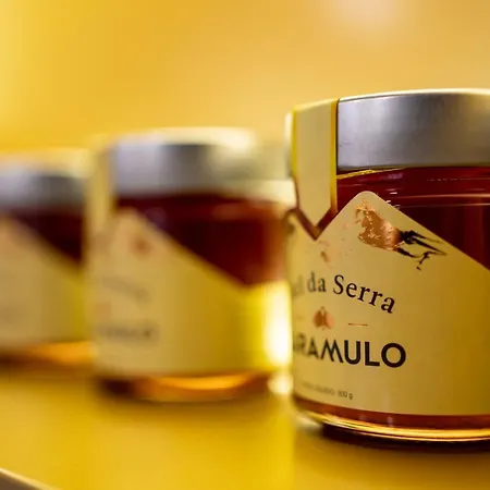 Beecaramulo-apiturismo *