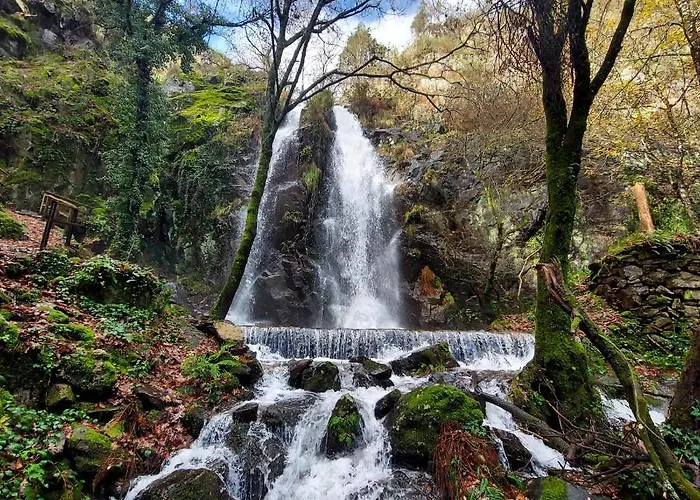 Beecaramulo-apiturismo ファームステイ