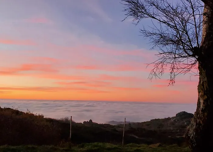 ファームステイ Beecaramulo-apiturismo